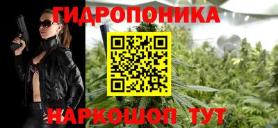 МДПВ Дубна