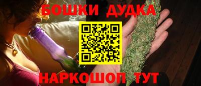 МДПВ Дубна
