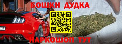 МДПВ Дубна