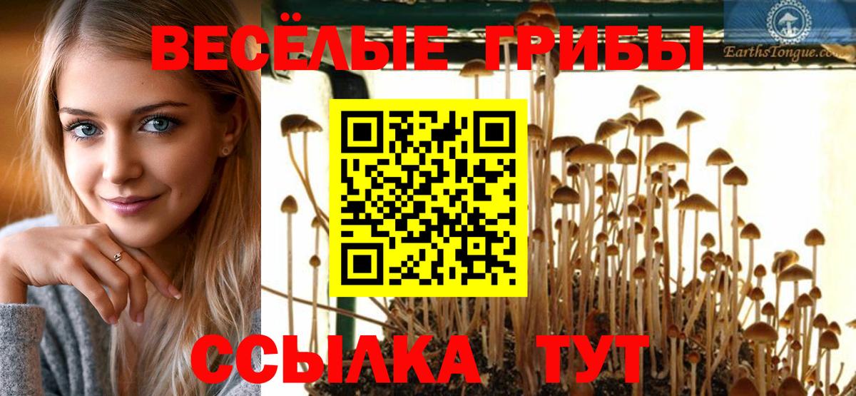 Псилоцибиновые грибы прущие грибы Ливны