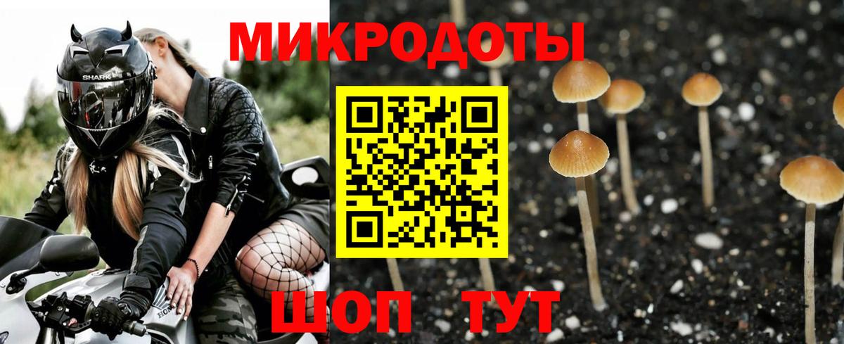 Галлюциногенные грибы Magic Shrooms  Вход с VPN  Галлюциногенные грибы мицелий  Ливны 